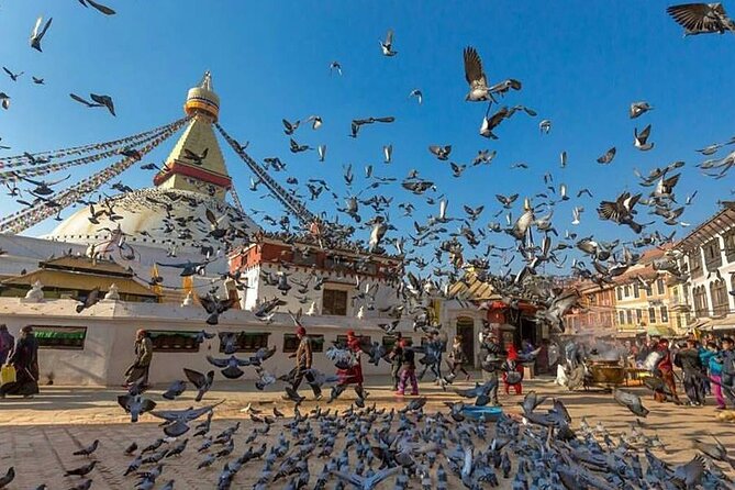 Half Day Sightseeing Tour Kathmandu ( Boudhnath Stupa and Pasupati Temple ) - Exploring Boudhnath Stupa