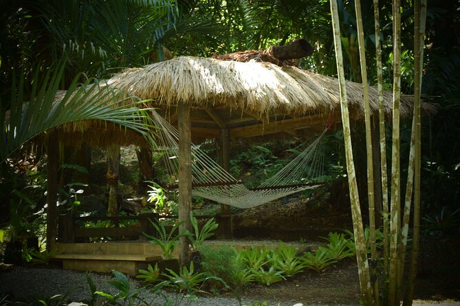 Half Day Sightseeing - Wonders of Nadi Tour - Group Size