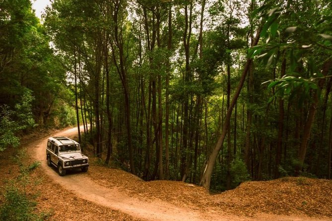 Half-day Sintra Jeep Safari - Exploring Sintras Natural Wonders