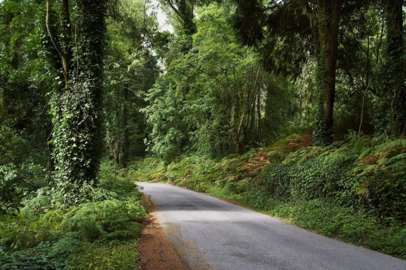 Half-Day Sintra Private Tour by TUK TUK - Key Attractions