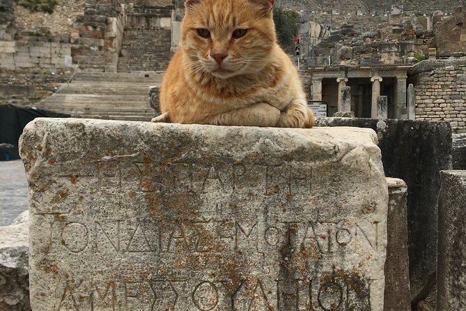 Half-Day ŞIrince Village & Artemis Temple & Train Museum - Accessibility and Medical Considerations