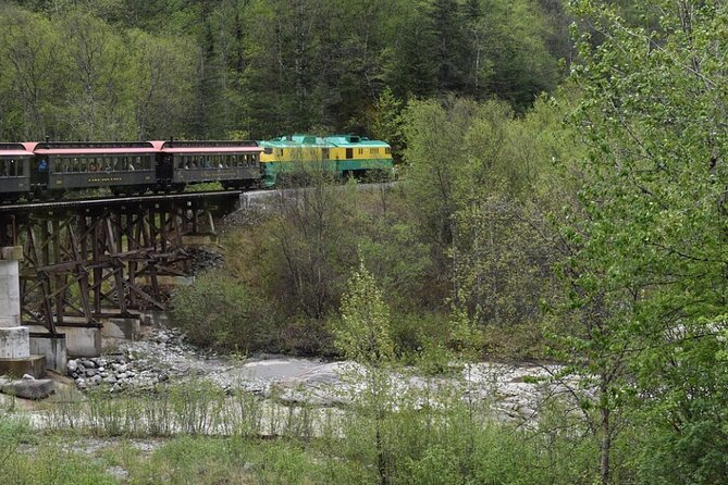 Half-Day Skagway City Tour and White Pass Summit Adventure - Customer Ratings and Feedback