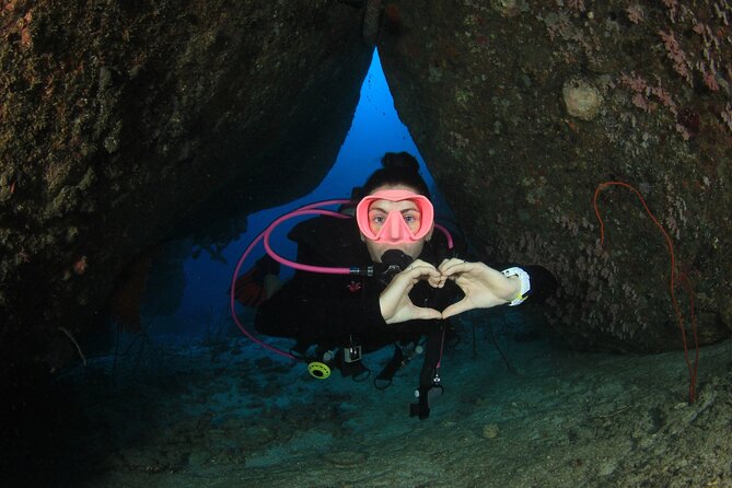 Half-Day Small-Group 2-Tank Scuba Dive in Key Largo (CERTIFIED DIVERS ONLY) - Meeting and Pickup