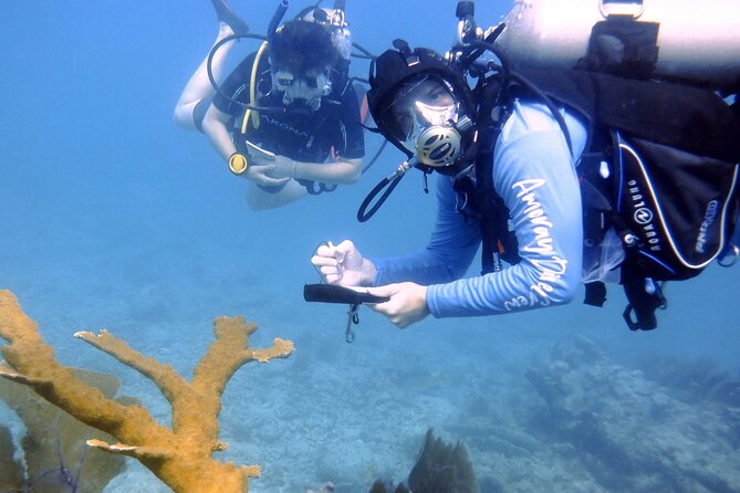 Half-Day Small-Group 2-Tank Scuba Dive in Key Largo (CERTIFIED DIVERS ONLY) - Additional Information