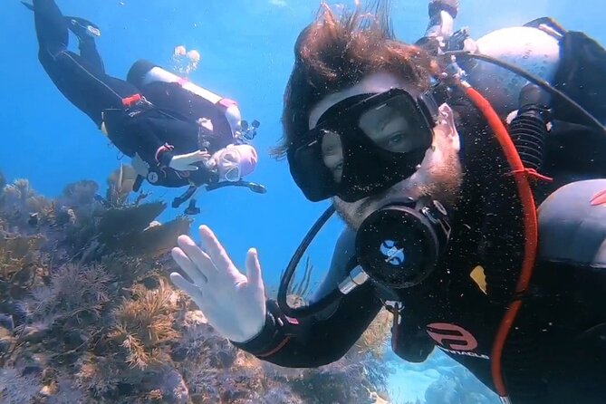 Half-Day Small-Group 2-Tank Scuba Dive in Key Largo (CERTIFIED DIVERS ONLY) - Preparing for the Dive