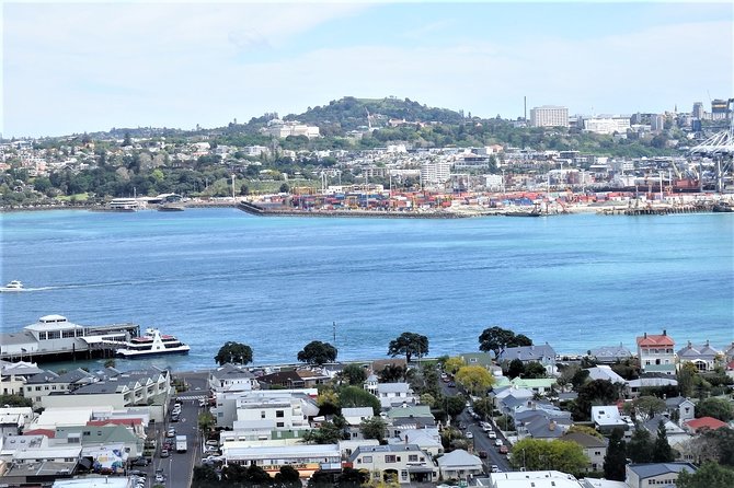 Half-Day: Small Group Auckland Scenic Tour - 4 HOURS - Accessibility and Accommodations
