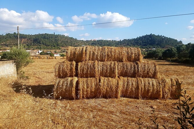 Half-Day Small-Group E-Bike Tour of Rural Algarve With Lunch - Handmade Delicacies