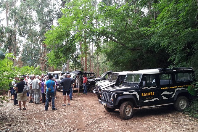 Half-Day Small-Group Madeira Village Safari From Funchal - Accessibility and Recommendations