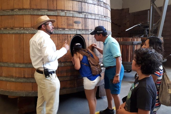 Half-Day Small-Group Santa Rita Vineyard Tour - Customer Reviews and Feedback