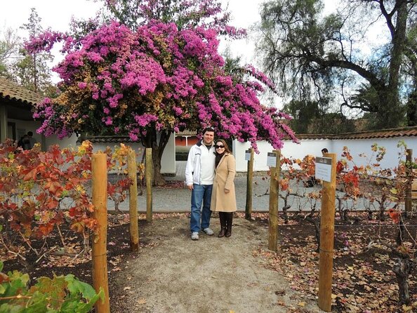 Half-Day Small-Group Santa Rita Vineyard Tour - Sustainability and Conservation
