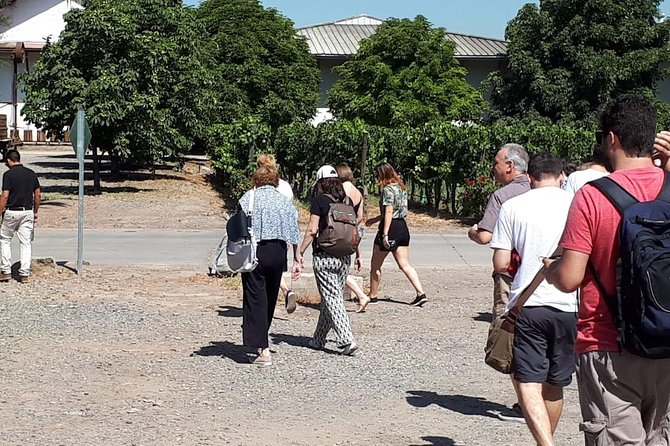Half-Day Small-Group Santa Rita Vineyard Tour - Pickup and Transportation