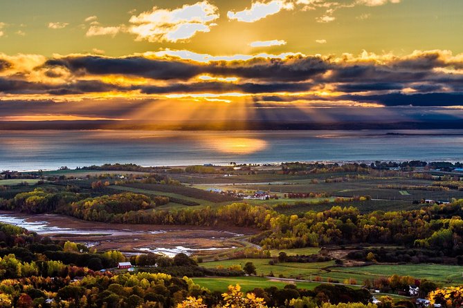 Half-Day Small-Group Tour of Annapolis Valley - Itinerary Highlights