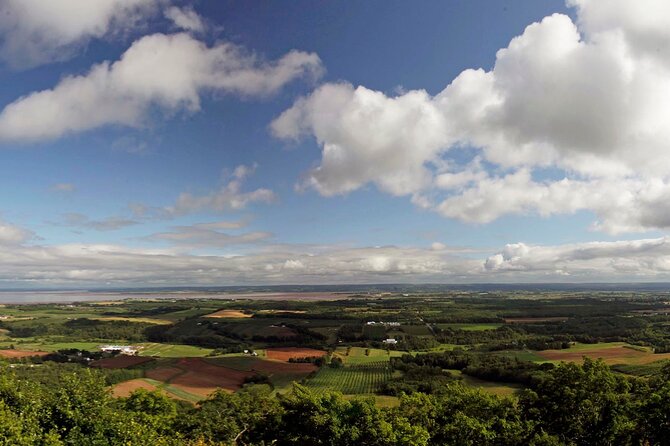 Half-Day Small-Group Tour of Annapolis Valley - Pickup and Logistics