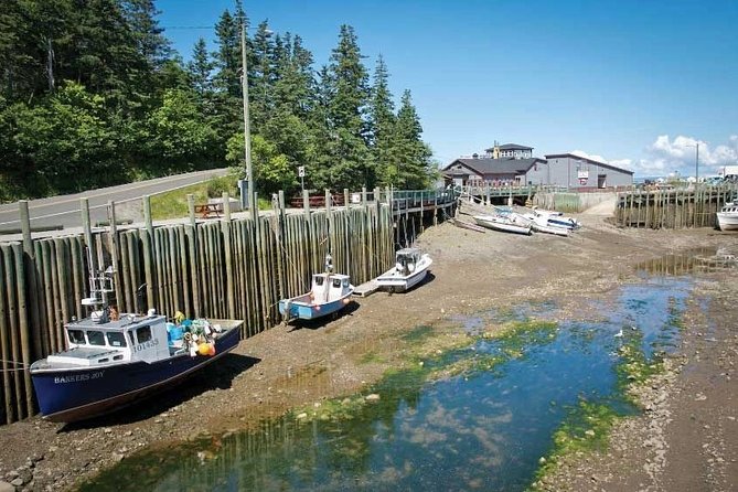 Half-Day Small-Group Tour of Annapolis Valley - Stopping at Halls Harbour