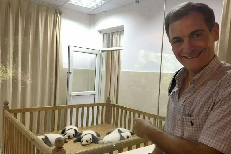 Half day small group tour to Chengdu Panda Breeding Center - What’s Included and What’s Not
