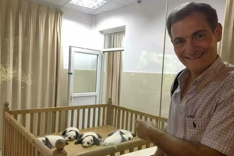 Half day small group tour to Chengdu Panda Breeding Center - The Sum Up