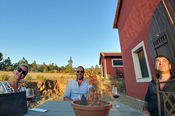 Half-Day Small-Group Wine Experience With Wine Expert From Cagliari - Meeting and Pickup