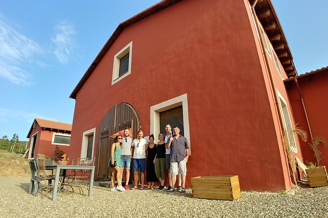 Half-Day Small-Group Wine Experience With Wine Expert From Cagliari - Savor Specialty Foods