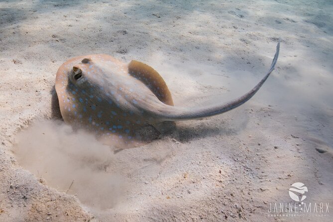 Half Day Snorkel 2.5hr Turtle Tour on the Ningaloo Reef, Exmouth - Included Gear and Amenities