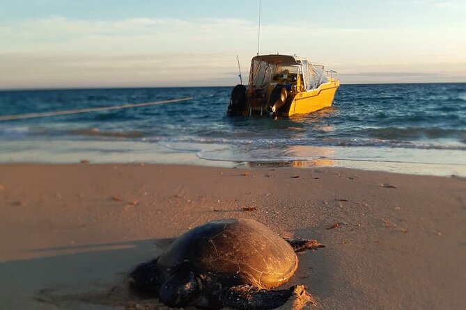 Half Day Snorkel 2.5hr Turtle Tour on the Ningaloo Reef, Exmouth - Confirmation and Accessibility Details