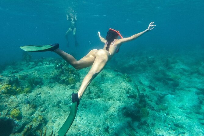 Half Day Snorkel From Providenciales With Visit to Half Moon Bay - Inclusions