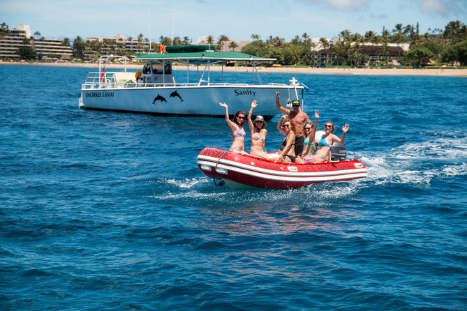 Half Day Snorkel in Lanai Island and Spinner Dolphin Search - Sighting of Spinner Dolphins and Marine Life