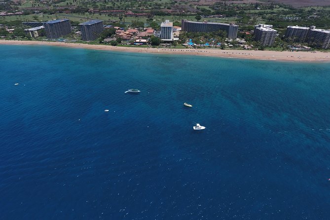 Half Day Snorkel in Lanai Island and Spinner Dolphin Search - Tour Reviews and Ratings