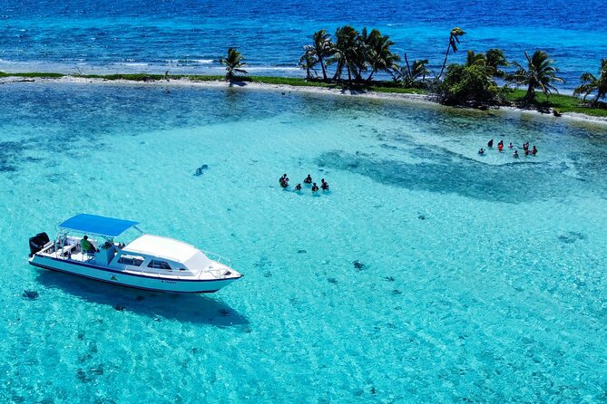 Half Day Snorkel to Laughing Bird Caye - Key Points