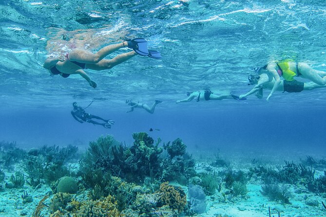 Half Day Snorkel to Laughing Bird Caye - Snorkeling Highlights