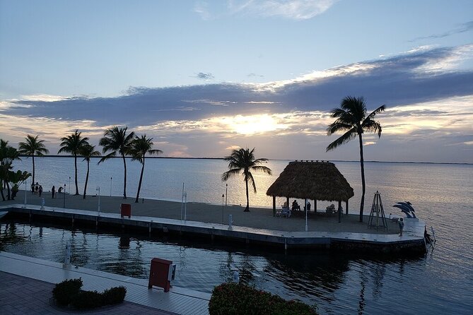 Half Day Snorkel Trip on Reefs in the Florida Keys - Beginner Friendly Experience