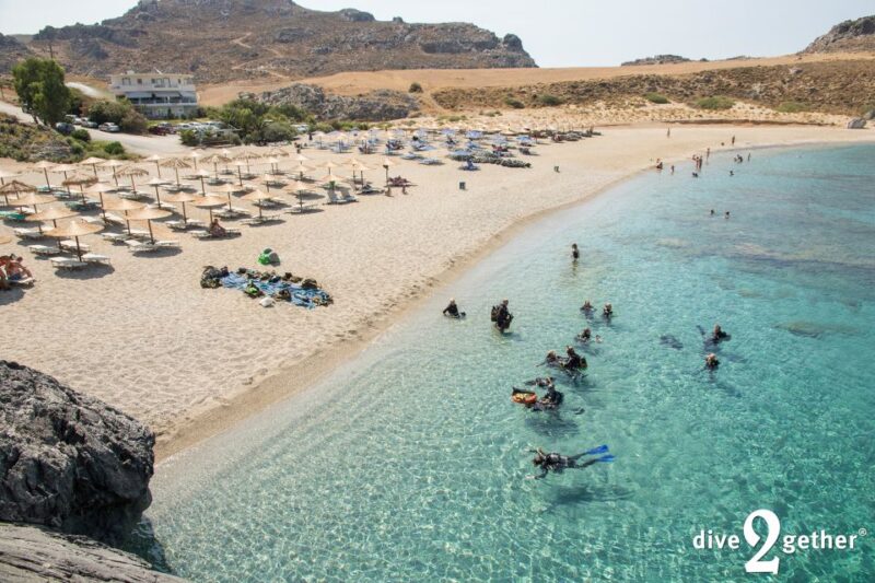Half Day Snorkeling Course - No Experience Needed - Key Points