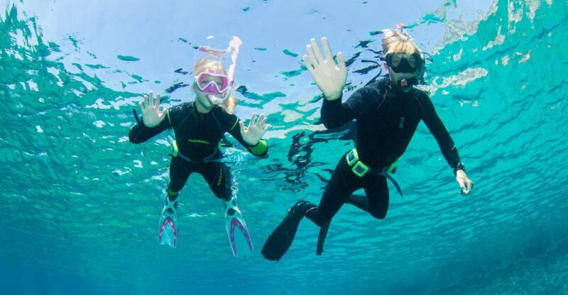 Half Day Snorkeling Course - No Experience Needed - Pricing and Booking
