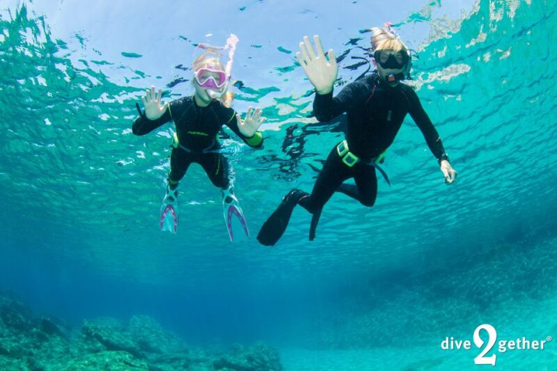 Half Day Snorkeling Course - No Experience Needed - Meeting Point