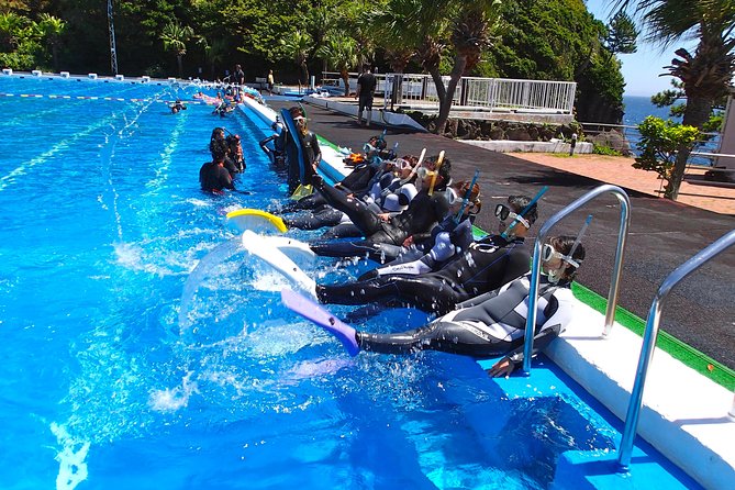 Half-Day Snorkeling CourseAt the Beginning, You'll Feel Relieved.Even in the Sea of Izu, Veteran Instructors Will Teach You Kindly - Snorkeling Equipment and Gear Provided