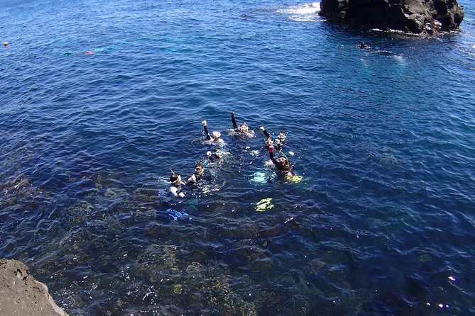 Half-Day Snorkeling CourseAt the Beginning, You'll Feel Relieved.Even in the Sea of Izu, Veteran Instructors Will Teach You Kindly - Traveler Fitness and Group Size