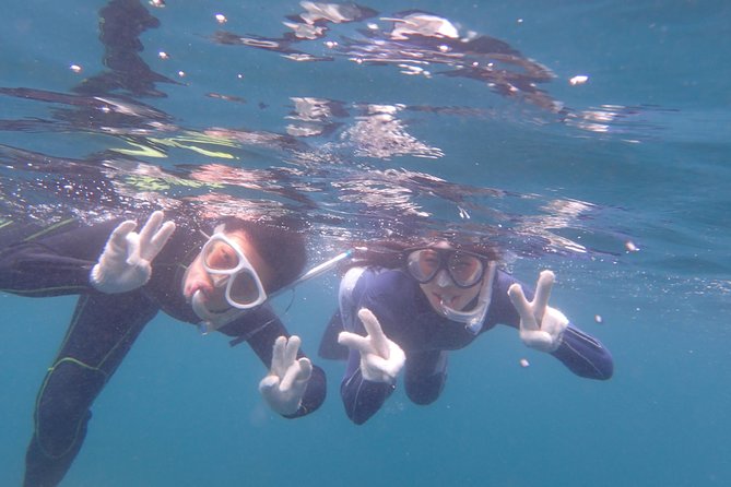 Half-Day Snorkeling CourseAt the Beginning, You'll Feel Relieved.Even in the Sea of Izu, Veteran Instructors Will Teach You Kindly - Cancellation and Refund Policy