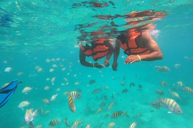 Half-Day Snorkeling Cruise and Natural Pool With Open Bar - Guest Feedback and Recommendations