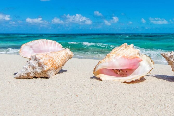 Half-day Snorkeling, Cruising, Iguana Island, Half Moon Bay - Tour Overview