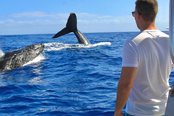 Half-Day Snorkeling Experience in Los Cabos, Open Bar & Snacks - Frequently Asked Questions