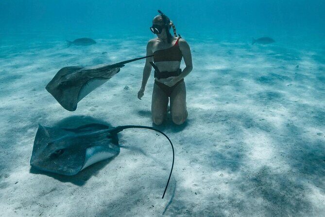 Half Day Snorkeling in Moorea - Logistics and Value