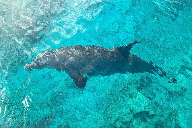 Half Day Snorkeling, Sightseeing & Island Hopping Private Charter (Afternoon) - Meeting and Pickup Details