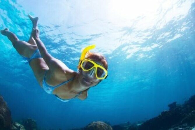 Half Day Snorkeling Tour from Margaritaville - Key Points