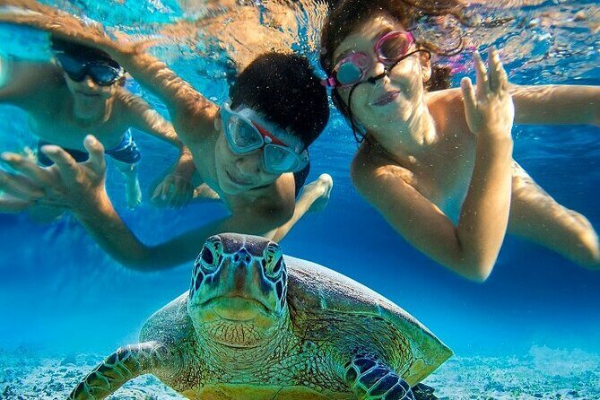 Half Day Snorkeling Tour from Margaritaville - Pricing and What It Means for Value