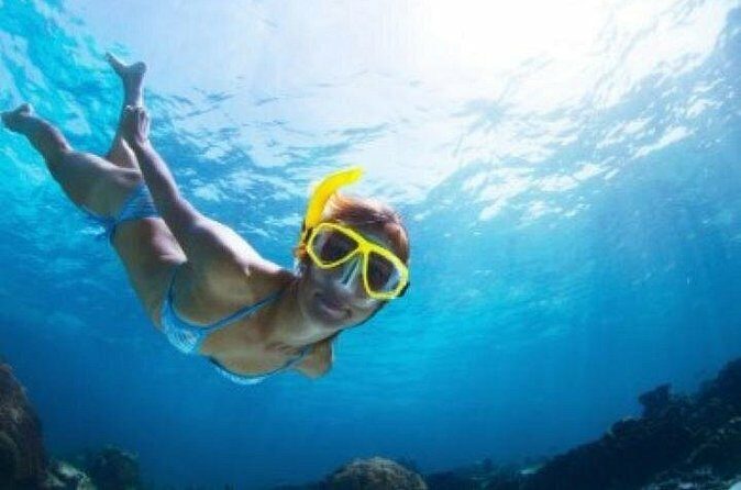 Half Day Snorkeling Tour from Margaritaville - FAQ