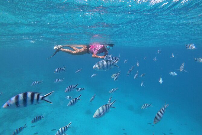 Half-Day Snorkeling Tour in Tahiti - Who Would Love This Tour?