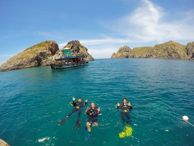 Half-Day Snorkeling Trip in Nha Trang With Vietnam Active - Highlights