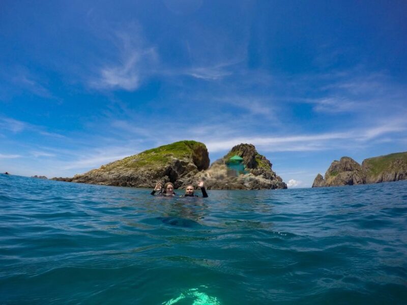 Half-Day Snorkeling Trip in Nha Trang With Vietnam Active - Booking Info