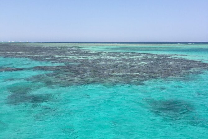 Half Day Snorkeling Trip in Ras Mohammed Sharm El Sheikh - Pickup and Confirmation