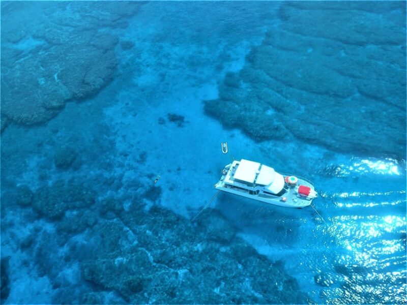 Half-Day Snorkeling Trip to Kerama (A : Kerama Snorkeling) - Exclusions