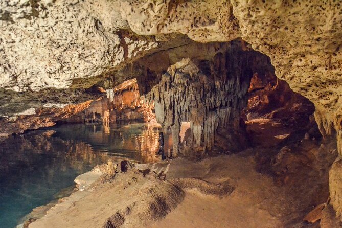 Half Day Snorkelling Cenotes and Turtles From Cancun and Riviera Maya - Schedule and Accessibility